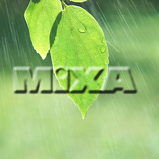 MIXA IMAGE LIBRARY vol.159 %%p^Cg%% tbVEO[