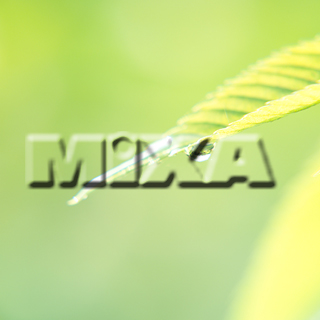 MIXA IMAGE LIBRARY vol.159 %%p^Cg%% tbVEO[