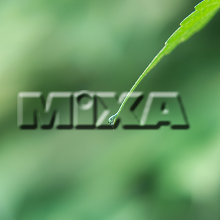 MIXA IMAGE LIBRARY vol.159 %%p^Cg%% tbVEO[