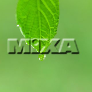 MIXA IMAGE LIBRARY vol.159 %%p^Cg%% tbVEO[