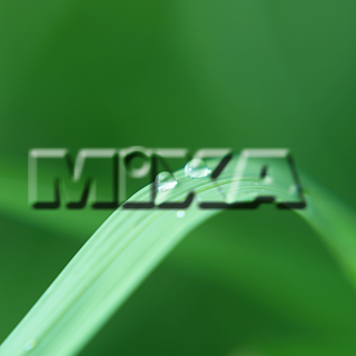 MIXA IMAGE LIBRARY vol.159 %%p^Cg%% tbVEO[