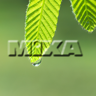 MIXA IMAGE LIBRARY vol.159 %%p^Cg%% tbVEO[