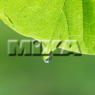 MIXA IMAGE LIBRARY vol.159 %%p^Cg%% tbVEO[