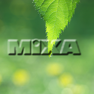 MIXA IMAGE LIBRARY vol.159 %%p^Cg%% tbVEO[