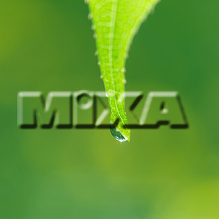 MIXA IMAGE LIBRARY vol.159 %%p^Cg%% tbVEO[