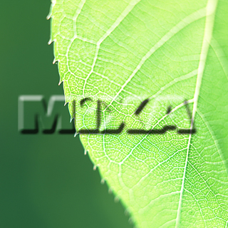 MIXA IMAGE LIBRARY vol.159 %%p^Cg%% tbVEO[