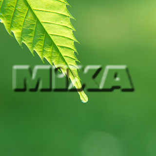 MIXA IMAGE LIBRARY vol.159 %%p^Cg%% tbVEO[