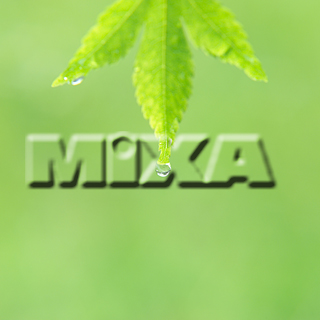 MIXA IMAGE LIBRARY vol.159 %%p^Cg%% tbVEO[