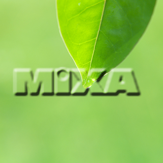 MIXA IMAGE LIBRARY vol.159 %%p^Cg%% tbVEO[