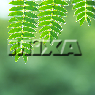 MIXA IMAGE LIBRARY vol.159 %%p^Cg%% tbVEO[