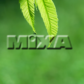 MIXA IMAGE LIBRARY vol.159 %%p^Cg%% tbVEO[