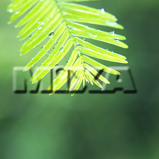 MIXA IMAGE LIBRARY vol.159 %%p^Cg%% tbVEO[