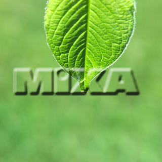 MIXA IMAGE LIBRARY vol.159 %%p^Cg%% tbVEO[