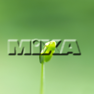 MIXA IMAGE LIBRARY vol.159 %%p^Cg%% tbVEO[