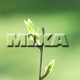 MIXA IMAGE LIBRARY vol.159 %%p^Cg%% tbVEO[