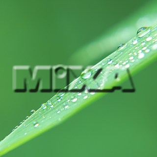 MIXA IMAGE LIBRARY vol.159 %%p^Cg%% tbVEO[