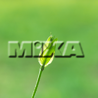 MIXA IMAGE LIBRARY vol.159 %%p^Cg%% tbVEO[