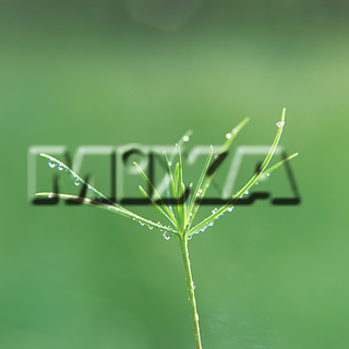 MIXA IMAGE LIBRARY vol.159 %%p^Cg%% tbVEO[