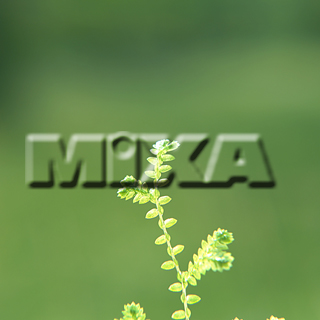 MIXA IMAGE LIBRARY vol.159 %%p^Cg%% tbVEO[