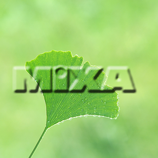 MIXA IMAGE LIBRARY vol.159 %%p^Cg%% tbVEO[