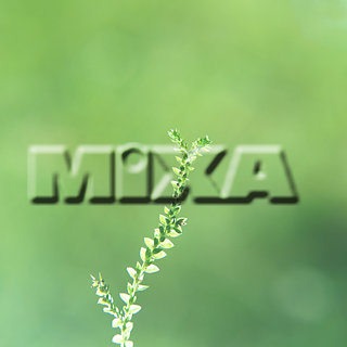 MIXA IMAGE LIBRARY vol.159 %%p^Cg%% tbVEO[