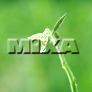 MIXA IMAGE LIBRARY vol.159 %%p^Cg%% tbVEO[