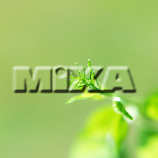 MIXA IMAGE LIBRARY vol.159 %%p^Cg%% tbVEO[