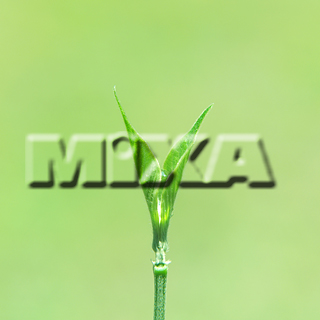 MIXA IMAGE LIBRARY vol.159 %%p^Cg%% tbVEO[