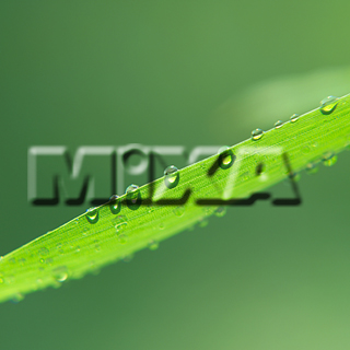 MIXA IMAGE LIBRARY vol.159 %%p^Cg%% tbVEO[