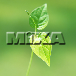 MIXA IMAGE LIBRARY vol.159 %%p^Cg%% tbVEO[