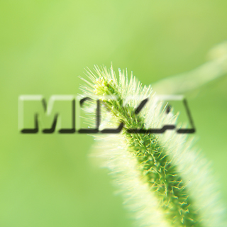 MIXA IMAGE LIBRARY vol.159 %%p^Cg%% tbVEO[