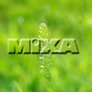 MIXA IMAGE LIBRARY vol.159 %%p^Cg%% tbVEO[