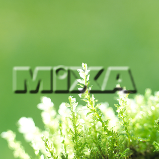 MIXA IMAGE LIBRARY vol.159 %%p^Cg%% tbVEO[