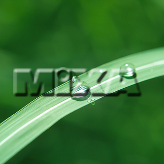 MIXA IMAGE LIBRARY vol.159 %%p^Cg%% tbVEO[