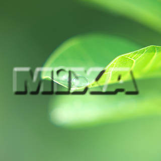 MIXA IMAGE LIBRARY vol.159 %%p^Cg%% tbVEO[