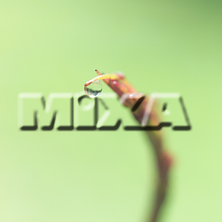 MIXA IMAGE LIBRARY vol.159 %%p^Cg%% tbVEO[