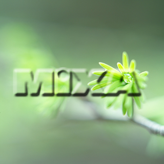 MIXA IMAGE LIBRARY vol.159 %%p^Cg%% tbVEO[