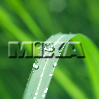 MIXA IMAGE LIBRARY vol.159 %%p^Cg%% tbVEO[