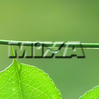 MIXA IMAGE LIBRARY vol.159 %%p^Cg%% tbVEO[