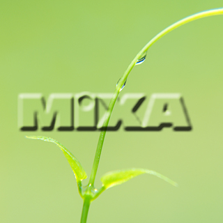 MIXA IMAGE LIBRARY vol.159 %%p^Cg%% tbVEO[