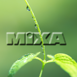 MIXA IMAGE LIBRARY vol.159 %%p^Cg%% tbVEO[