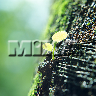 MIXA IMAGE LIBRARY vol.159 %%p^Cg%% tbVEO[