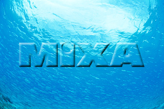 MIXA IMAGE LIBRARY vol.164 %%p^Cg%% CƋƎX