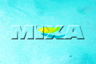 MIXA IMAGE LIBRARY vol.164 %%p^Cg%% CƋƎX