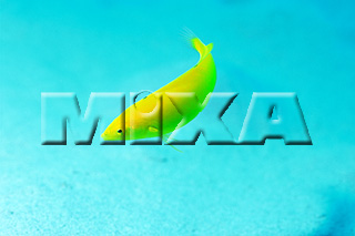 MIXA IMAGE LIBRARY vol.164 %%p^Cg%% CƋƎX