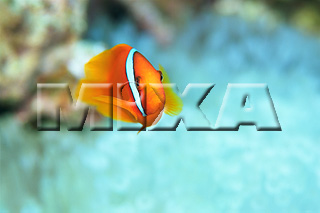 MIXA IMAGE LIBRARY vol.164 %%p^Cg%% CƋƎX