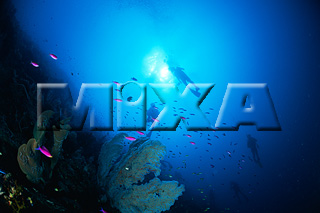 MIXA IMAGE LIBRARY vol.165 %%p^Cg%% CE