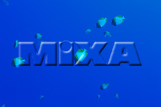 MIXA IMAGE LIBRARY vol.165 %%p^Cg%% CE