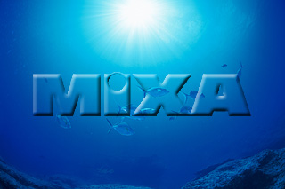 MIXA IMAGE LIBRARY vol.165 %%p^Cg%% CE