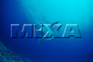 MIXA IMAGE LIBRARY vol.165 %%p^Cg%% CE